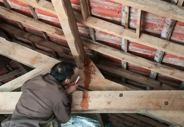 Attic Inspection